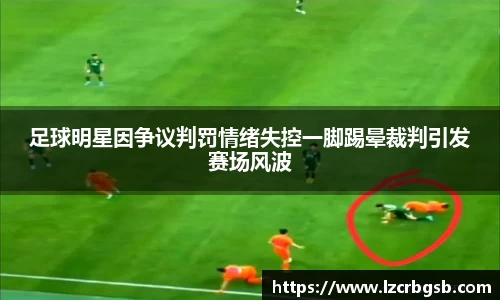 足球明星因争议判罚情绪失控一脚踢晕裁判引发赛场风波